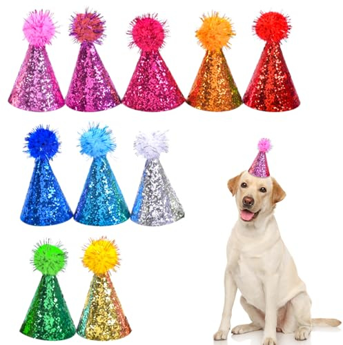 10PCS Mini Party Hats for Toy Animals Party Hats for Teddys Cone Party Hat with Adjustable Headband Glitter Reusable Happy Birthday Hat for Kids, Dolls and Pets