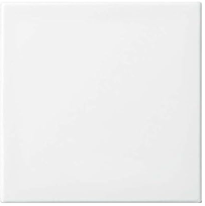 Busch-Jaeger 2506-914 Wippe (Thermoplast) Balance SI Alpinweiß