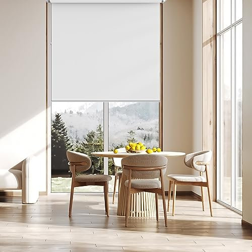 Tela Oscurecedora Ventana 65 x 190 cm, Protección Solar y Privacidad, Estor Enrollable con Pinza, Las Piezas de Montaje Incluidas, para Puertas y Ventanas, Blanco