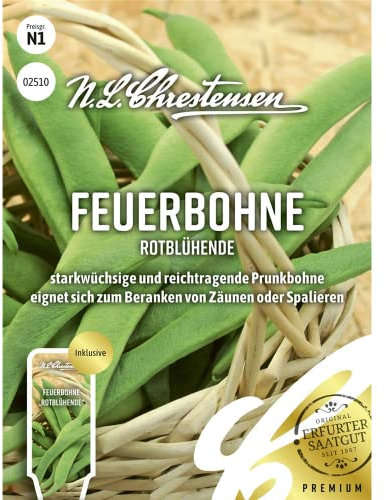 Feuerbohne Rotblühende, starkwüchsige und reichtragende Prunkbohne, Samen
