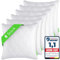 Gentle North Kopfkissen (35x35 cm groß) - 6er Set Kissen für Bett und als Dekokissen - Mit Reißverschluss für Füllung - Sofakissen - Zierkissen für Couch und Sofa - Ökotex - Waschbar bis 60° - Weiß