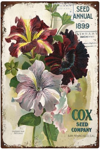 Vintage Metal Tin Sign Front Cover of Cox Seed Company - Petunia Floral Nature Plants Kitchen Garden Home Horticulture Wall Decor 5.5x8 Inch