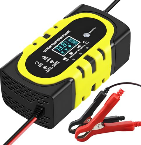 Anluomania Caricabatterie Auto 10A 12V, Caricabatteria da Auto con Schermo LCD, Mantenitore Batteria Moto, Intelligente Carica Batteria Portatile con Compensazione Della Temperatura, Auto Camion Moto