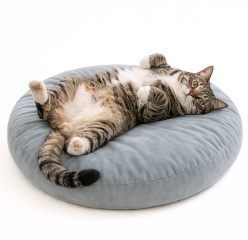 ZOVRION Orthopedic Cat Bed, 20 Inches Round Shape, Durable Pet Cushion for Cats and Small Dogs, Stylish and Neutral Design, Ultimate Comfort, Easy to Clean, Stain-Resistant (Enchanted Blue)