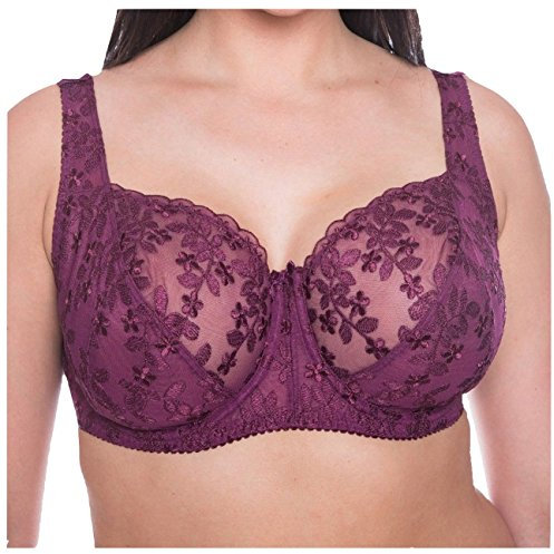 Gemm Ladies Embroidered Large Bosom Lace Underwired Firm Bra Plus Size Cup in Wine (Purple/Red) (38 F)