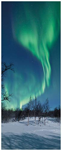 Wallario Glasbild Polarlicht in Schweden - 32 x 80 cm Wandbilder Glas in Premium-Qualität: Brillante Farben, freischwebende Optik