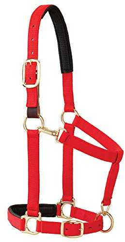Weaver Leather Padded Breakaway Adjustable Chin and Throat Snap Halter, 1 Average Horse or Yearling Draft, Red Striped