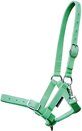 Harry's Horse 31000300 Foal Halter, Lime
