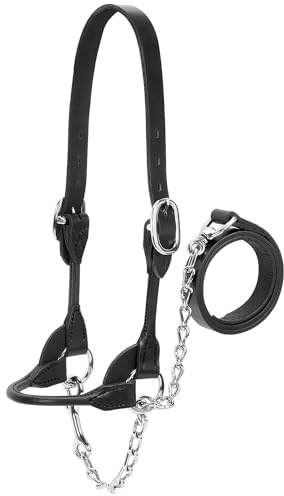 Weaver Leather Livestock Dairy/Beef Rounded Show Halter Black, Small
