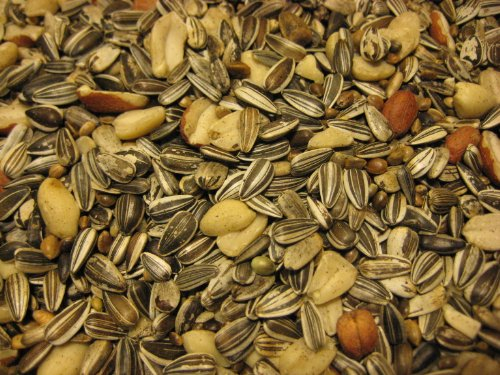 Meisenfutter extra, Vogelfutter, RUVO, 10 kg