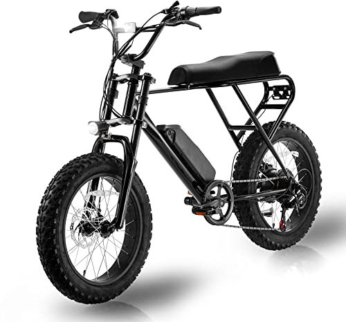 E-RIDES E-Bike Electric Bike for Adults,48V Removable Battery Commuter E Bikes 20 x 4.0 Fat Tires Ebike, Shimano 6-Speed 25KM All Terrain Pedal Assist Ebike for City Off Road Mountain Beach Snow Bike