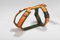 Geschirr orange Gr. M