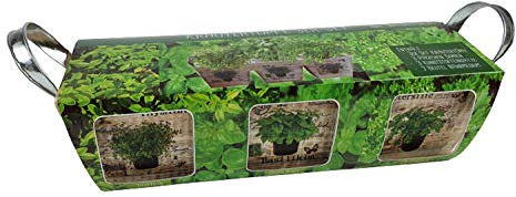 Sesua Starterset Komplettset Kräutertöpfe 3er Set Holz mit Saatgut Thymian Basilikum Petersilie und Nährmedium ideal als Kräutergarten