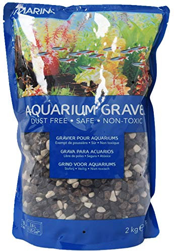 Marina Gravier décoratif pour Aquarium de