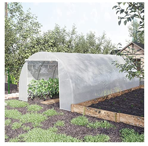 Tomaten Tomatenhaus Groß Gewächshaus Großes Gewächshaus für draußen mit hochbelastbarem Stahlrahmen, Winter Garten Polytunnel-Gewächshäuser Tomatenpflanzen Gewächshaus Warmhaus ( Size : W150 x H200 x