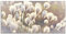 ARTland Wanddeko Glasbilder Wandbild Glas Bild einteilig 100 x 50 cm Natur Zauber Idyll Frühling Moor Pflanzen Gräser Blumen Wollgras T2BZ