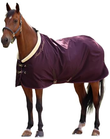 Shires - Couverture de Box pour Chevaux Deluxe (160 cm) (Bordeaux)