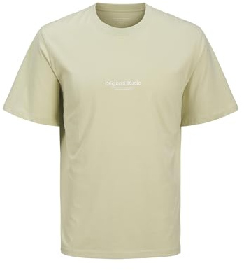 JACK & JONES Men's Jorvesterbro Tee SS Crew Neck Noos Jnr, Celadon Tint, 16 Years