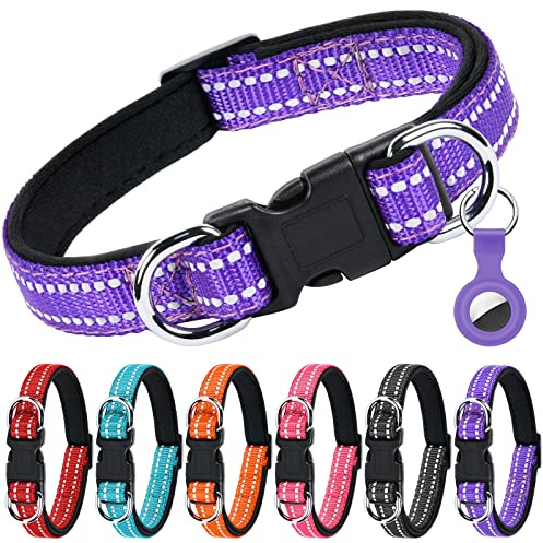 AUAUY Reflekterande Hundhalsband I Nylon, Dubbel Säkerhetsjusterbar Klassiska Hundhalsband Med Mjuk Neoprenvaddering Airtag-Fodral, Dubbla D-Ring-Snabbspänne För Små Valpar, Medelstora Hundar