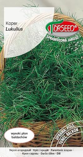 Verdica Lukullus Anethum Graveolens - Semi di aneto ad alto contenuto di oli essenziali, ideali per usi freschi e secchi, resistenti alle malattie, raccolta precoce, adattabili a varie condizioni