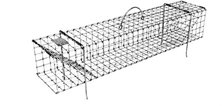Tomahawk Model 202CL - 36x5x5 Collapsible Muskrat Colony Trap
