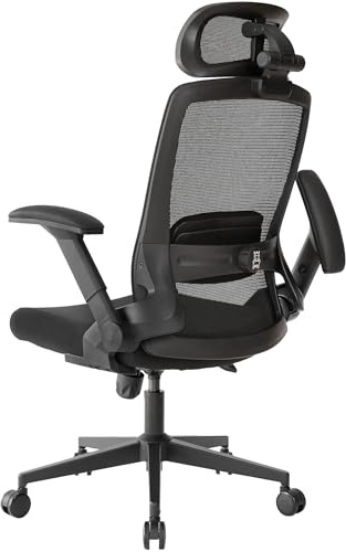 Realm of Thrones VALOUR Ergonomic Office Chair for Home, Gaming Desk Chair, 3D Headrest/High Back Mesh/Comfort Cushion Seat/2D Rotating Armrests/Adjustable Lumbar Support/Heavy Duty Steel Base (Black)