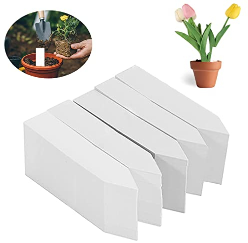 500 Pezzi Etichette per Piante, Etichetta Giardino Esterna, Etichette Targhette per Piante, Targhette per Piante, Cartellini per Piante, per Vivai, Semi, Piante ed Erbe Aromatiche, 10 x 2 cm