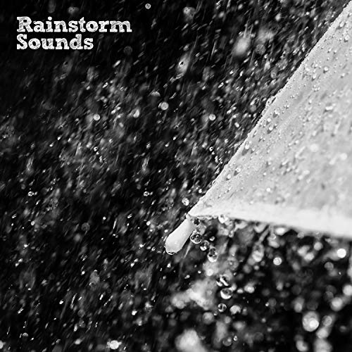 Rain on the Orangery