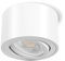 GeyouLux 1x Faretti LED Soffitto - Orientabile - Ø80x50mm Extra Piatto & Inclinabile a 38° - 5W 500LM 3000K - Con Modulo LED 230V Incluso - Alluminio - Faretto LED Interno, Lampada da Soffitto（Bianco）