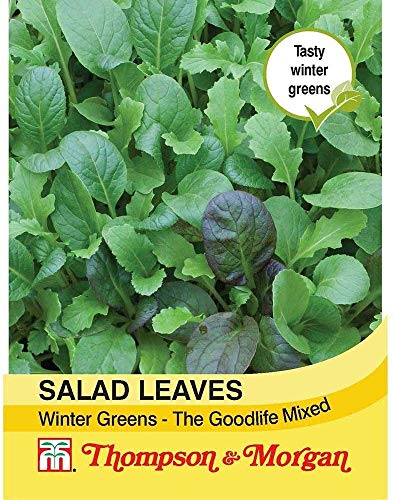 Thompson & Morgan - Vegetables - Salad Leaves - Winter Greens The Good Life Mixed - 125 Seed