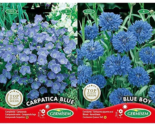 Germisem Graines Campanule naine CARPATICA BLUE+Graines Bleuet BLUE BOY
