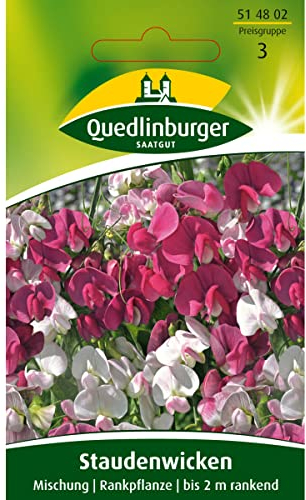 Staudenwicken, Mischung, Lathyrus latifolius, ca. 10 Samen