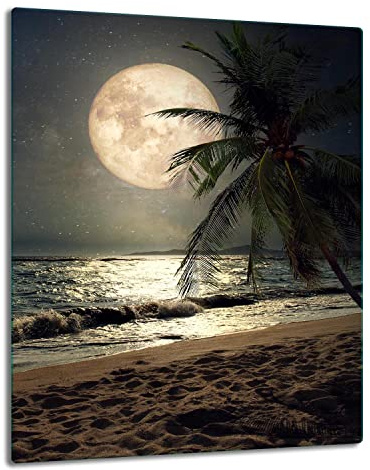 TMK | Placa de cristal para cubrir la cocina de 40 x 52 cm, una sola pieza, protección contra salpicaduras, decoración para la playa