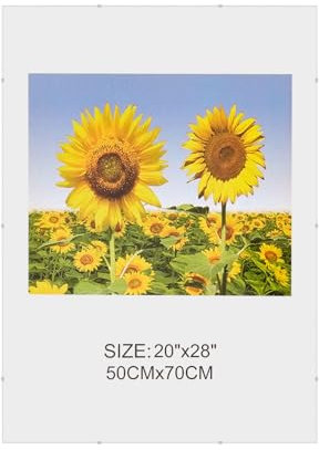 MARCOFOTO Set de 1 Marco de Fotos – Marco Clip de Plexiglas sin Marco – Portafotos de Plexiglas Transparente con Colgador – Diseno Minimalista para Fotos, Diplomas y Certificados – 50x70 cm