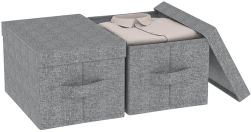 ENUMAIL 2er Organizer Pieghevole per Dell'armadio, Cubo di Stoccaggio in Tessuto con coperchio, Organizzatore di Vestiti con Maniglia, Utilizzato in Camera da Letto o Soggiorno, 42×30×26cm, Grigio