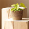 JITASHWA Woven Plant Pot with Liner, Seagrass Planter Basket, Decorative Flower Pots Cover, Indoor Planter Plant Containers, Home Decoration, Small