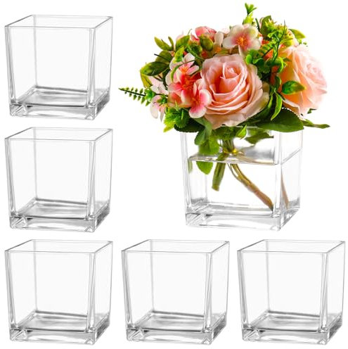 MARTAGE Square Clear Glass Vases Set of 6, 5 x 5 x 5 Flower Vases for Centerpieces, Square Vase for Centerpieces, Small Vase for Wedding, Party, Home Office Decoration