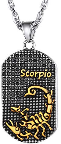 Collier Scorpion Signe Astrologique Plaqué Or AAA+CZ en Strass Brillante-Pendentif Plaque Dog Tag Zodiac avec Délicate Chaîne Réglable 22+2 pouce,Cadeau Anniversaire pour Garçon,Homme (Boîte à bijou)