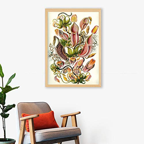 XIANGPEIFBH Carnivorous Plant Poster Nepenthaceae Tropical Pitcher Plants Monkey Cups Prints Wall Art Painting Canvas Picture Decor 50x70cm(20x28) Unframed