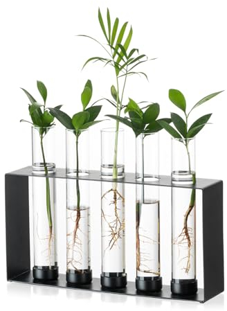Sziqiqi Plantes Propagation Station - Vase Terrarium en Verre avec 5 Tubes à Essai pour Hydroponiques Plantes Boutures Vase Moderne en Métal pour Fleurs Vases Noirs pour Maison Bureau