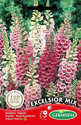 Germisem Excelsior Mix Semillas de Dedal 0.5 g, EC1525