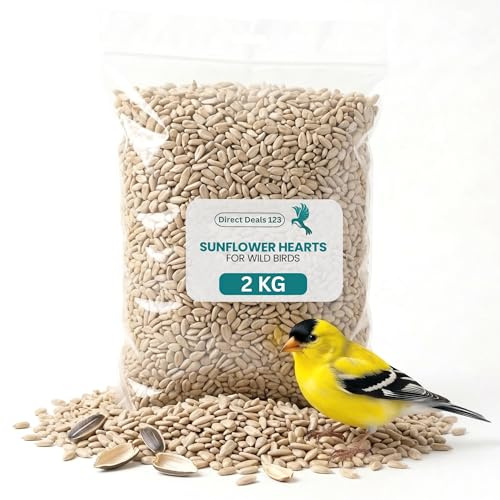 2KG Sunflower Hearts for Wild Birds Food - No Mess Husk Free Bird Feed | 100% Natural, High Energy Sunflower Seeds