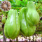 Benoon Semi Di Chayote, 20 Pezzi/Borsa Semi Di Chayote Sunshine Bisogno Di Vitamina Nutriente Inclusa Semi Di Piante Di Chayote Naturale Per Giardino Semi di Chayote