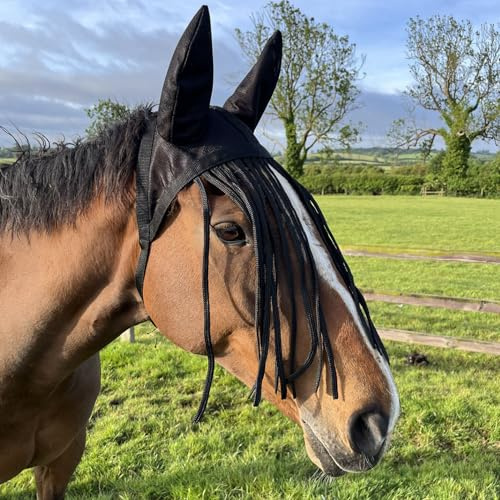Ruggles Fly Fringe med nätöron för hästar och ponnyer – svart (pony)