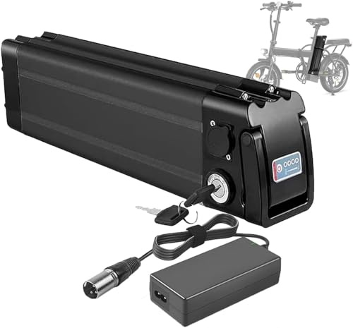 Batterie De Vélo Électrique 24V 8Ah 10Ah 12,5Ah 18Ah 19,2Ah Batterie Ebike pour Moteurs 29.4V 150W 250W 350W – Lithium-ION Battery 24V 8Ah
