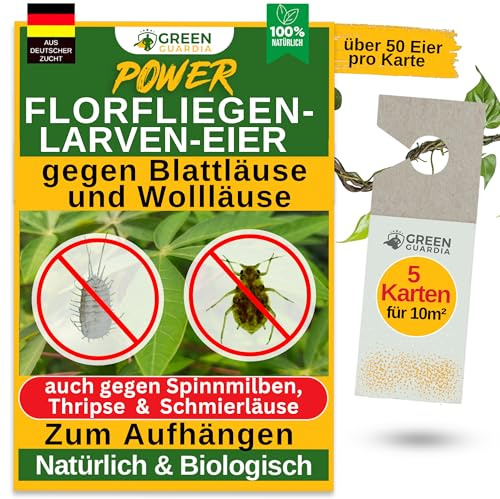 GREEN GUARDIA Power – Uova contro afidi e pidocchi – 5 carte – Agente biologico per efficace lotta contro afidi e pidocchi di lana per piante da interno e ornamentali e molto altro ancora.