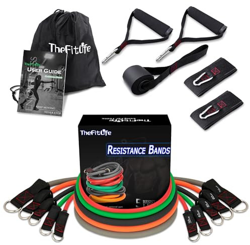 TheFitLife Exercise Resistance Bands with Handles - 5 Fitness Workout Bands Stackable up to 110/150 lbs, Training Tubes with Large Handles, Ankle Straps, Door Anchor Attachment, Carry Bag (250lbs)
