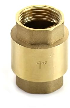 QWORK® Rückschlagventil aus Messing - 1 Zoll Innengewinde (DN 25)