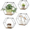 Walasis Hexagon Wandregal Schwarz Metall: 4er Set Schweberegal Wand Regal Wand Deko Wanddekoration Aesthetic Pflanzenregal für Wohnzimmer Schlafzimmer Zimmer Flur