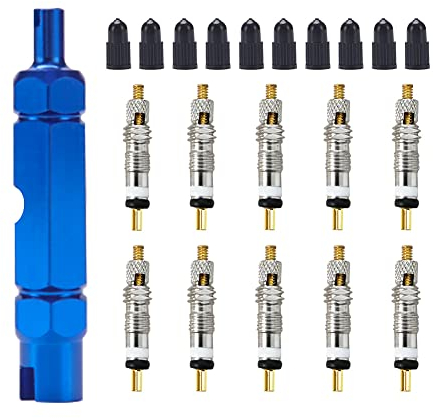 VooGenzek 21 Stücke Multifunktions Ventilkernentferner Werkzeugset mit Messing Ersatz Presta Ventilkern und Kappen für MTB Rennrad Fahrrad, Ventil Entferner Werkzeug für Presta Schrader
